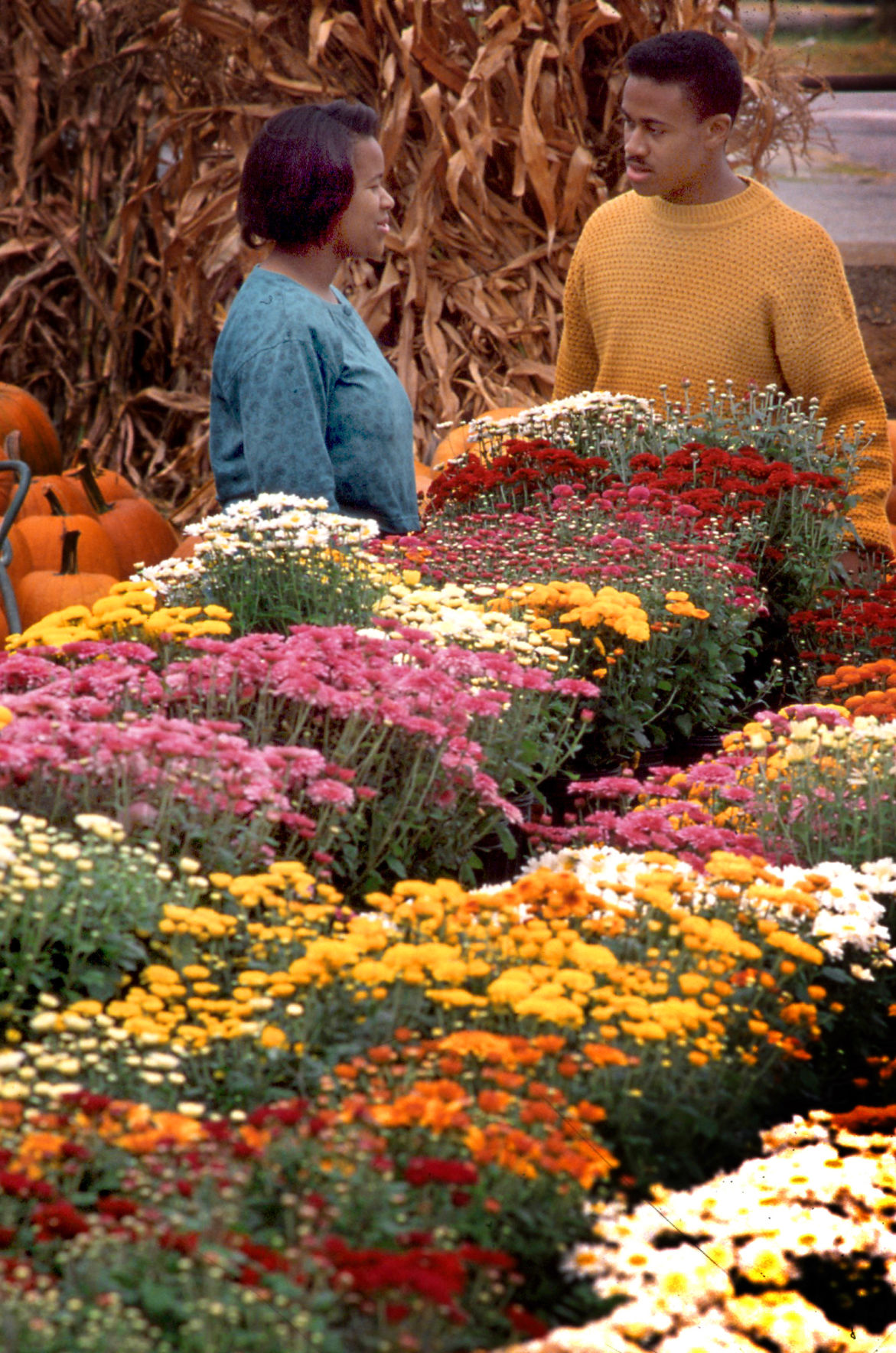 1991-09-24 Flowers